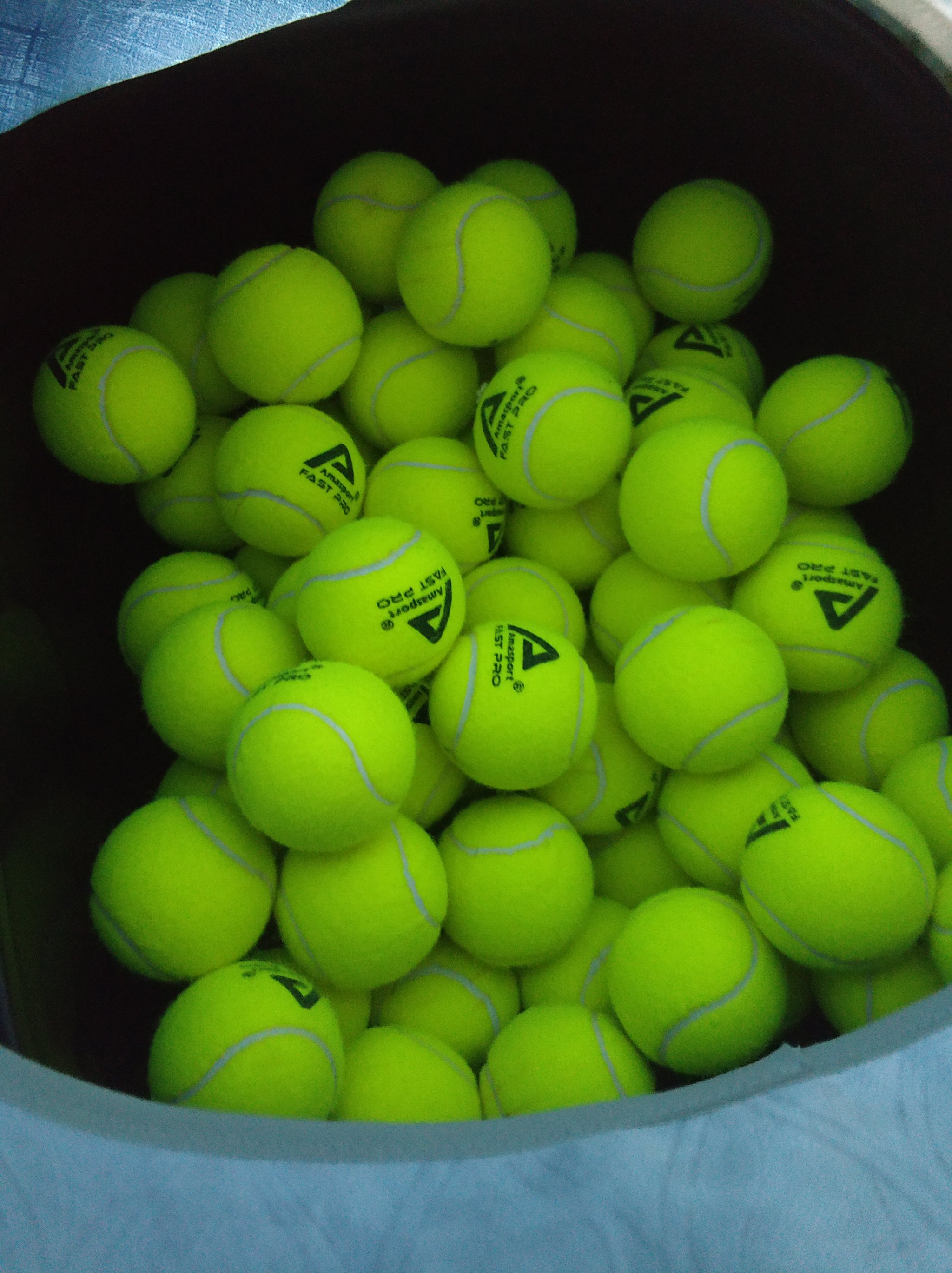 勒姆含强制 勒姆含强制