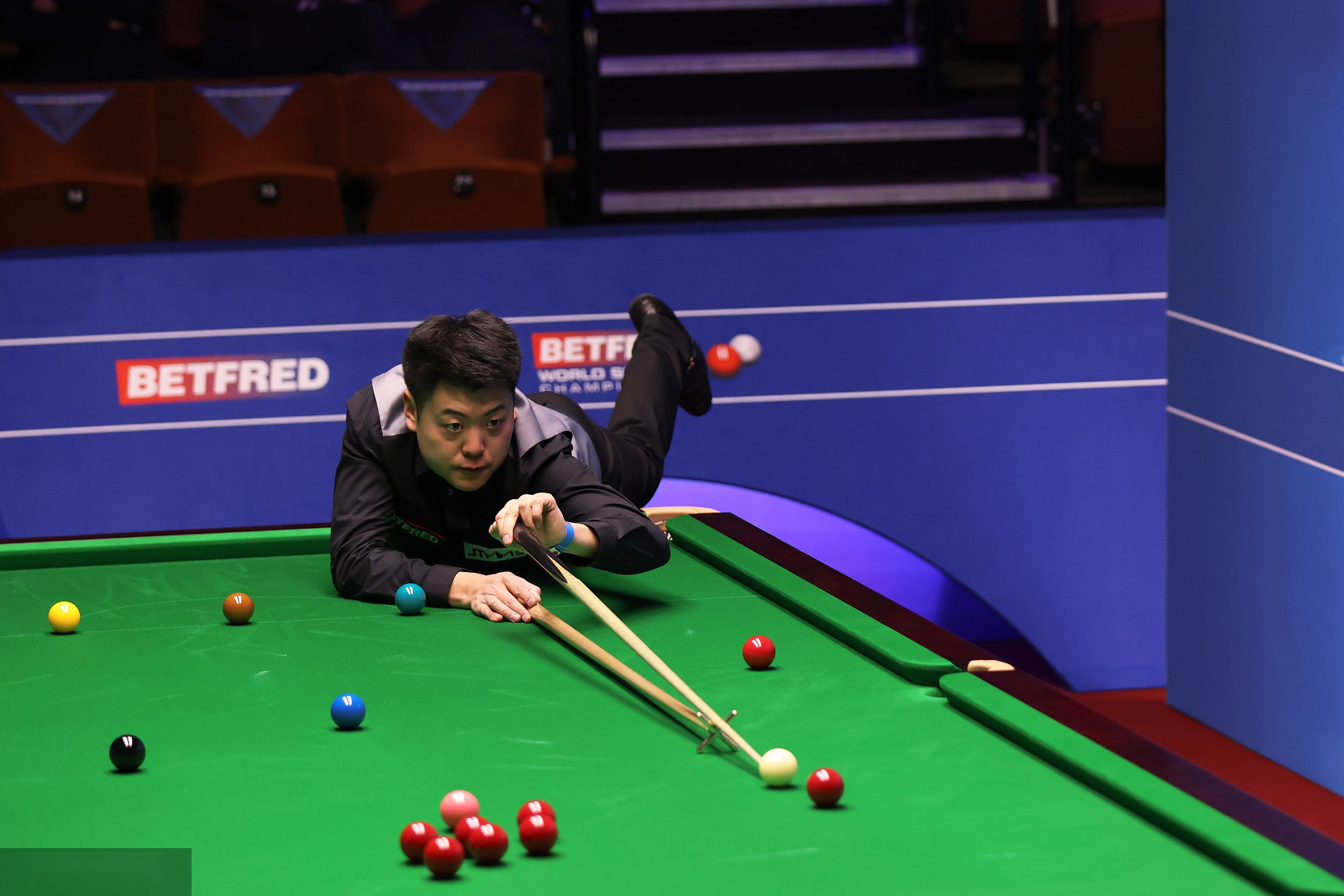 体育的内容 体育的内容